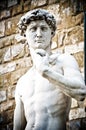 Michelangelo`s David Portrait, Statue in Florence