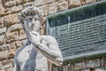 Michelangelo's David statue in Florence, Italy