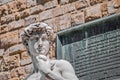 Michelangelo`s David statue in Florence, Italy Royalty Free Stock Photo