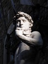 David statue by Michelangelo Piazza della Signoria Florence Italy