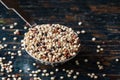 Rainbow Quinoa Spilled from a Teaspoon