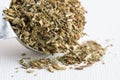 Dried Oregano Spilled from a Teaspoon Royalty Free Stock Photo