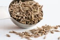 Cumin Seeds Spilled from a Teaspoon Royalty Free Stock Photo