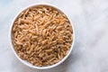 Ancient Kamut Grain in a Bowl Royalty Free Stock Photo