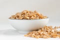 Ancient Kamut Grain in a Bowl Royalty Free Stock Photo