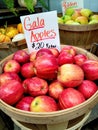 Michigan Apples in Bushel Baskets