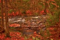 Michigan Autumn Colors along the Ontonagon River Royalty Free Stock Photo