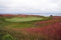 Arcadia Bluffs Golf Course in Arcadia, Michigan. Royalty Free Stock Photo