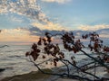 Michigan lake in summer day. Royalty Free Stock Photo