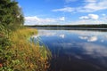 Michigan Wilderness Fishing Lake In National Forest Royalty Free Stock Photo