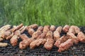 Mici or mititei, Romanian traditional picnic food, on a hot grill behind the bushes Royalty Free Stock Photo