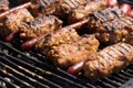 Mici and sausage Royalty Free Stock Photo