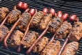 Mici and sausage on grill Royalty Free Stock Photo