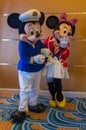 Mickey and minnie