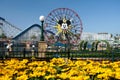 Mickey Mouse Ferris Wheel Disneyland Royalty Free Stock Photo