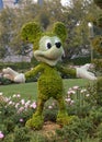 Mickey Mouse Topiary