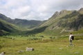 Mickleden, Pike of Stickle, English Lake District Royalty Free Stock Photo