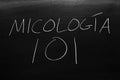 MicologÃÂ­a 101 On A Blackboard. Translation: Mycology 101