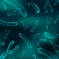 Micro bacterium and therapeutic bacteria organisms Royalty Free Stock Photo