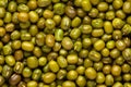 Micro Close up of Organic green Gram Vigna radiata or whole green moong dal Full-Frame Background. Royalty Free Stock Photo
