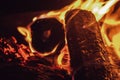 Micro closeup shot of tree branches burning to light a fire