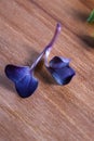 Micro green close-up