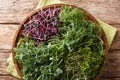 Micro green mix of peas, cilantro, mustard, radish close-up on a plate. horizontal top view