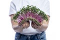 Micro green radish in the hands of a woman in a white T-shirt. Vitamins, health and natural food. Isolated on white background Royalty Free Stock Photo