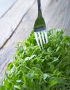 Micro green sprouts and fork closeup