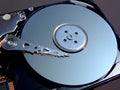 Micro Hard drive Royalty Free Stock Photo