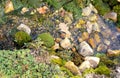 Micro landscape with imitation of a forest stream, driftwood, micro waterfalls, pebbles and moss Royalty Free Stock Photo