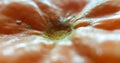 Micro phote of the top of an orange Royalty Free Stock Photo