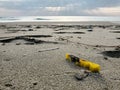 Plastic clothes peg on sandy sea ecosystem,microplastics sea coast pollution Royalty Free Stock Photo