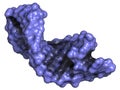 Micro RNA (miRNA, hsa-miR-133a) structure, computer model.