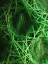 Micro View of fibre or Fabric 3
