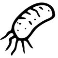 Microbe icon. a bacterium in a black outline in the style of doodles on white. An oval-shaped microorganism with dots and strokes Royalty Free Stock Photo