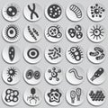 Microbe icons set on background for graphic and web design. Simple illustration. Internet concept symbol for website Royalty Free Stock Photo