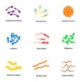 Microbe icons set, flat style Royalty Free Stock Photo