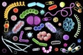 Microbes of different shapes