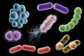 Microbes of different shapes