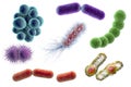 Microbes of different shapes