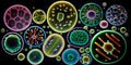 microbes and viruses to study their structure and evolution Generative AI