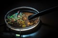 microbial culture growing in petri dish with magnifying glass and light source