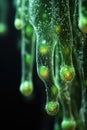 Microbial glow features patterns, luminescent qualities of bioluminescent bacteria Royalty Free Stock Photo