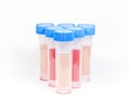 Microbial test kit for laboratory Royalty Free Stock Photo