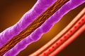 Microbiological images depicting blood vein system clinical 3D illustration