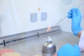 Microbiological inoculation loop being sterilized in flame of alcohol bunsen burner in biological safety cabinet