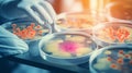 Microbiologist in the laboratory examines petri dishes. Selective focus.