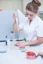 Microbiologist with pipette preparing samples Royalty Free Stock Photo