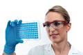 Microbiologist in the research lab holding a 96 well microplate with biological samples for clinical analysis Royalty Free Stock Photo
